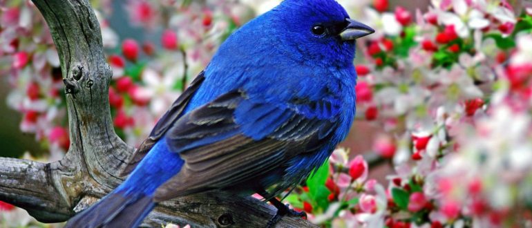 Рассказ про весну для детей